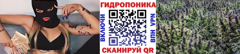 Купить закладку ГАШ  КОКАИН  ЭКСТАЗИ  Метадон  Каннабис  Меф мяу мяу  Минусинск