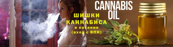 сатива Медногорск