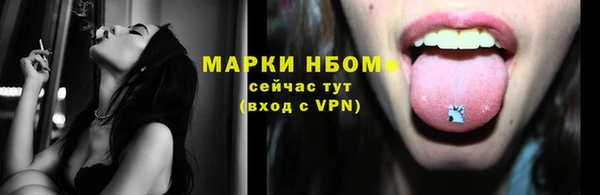СК Медвежьегорск