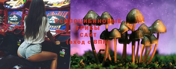 сатива Медногорск
