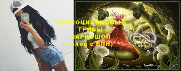 СК Медвежьегорск
