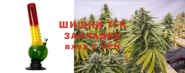 сатива Медногорск